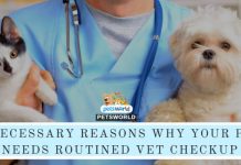 6 Necessary Reasons Your Pet Should Get Routined Vet Check up – Pet Blog