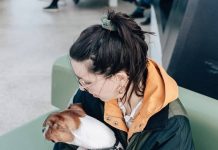 Everything You Need to Know About Microchipping Your Pet
