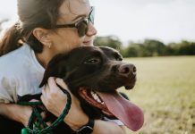 Top 5 Suggested Habits to Form as a Pet Parent from the Start