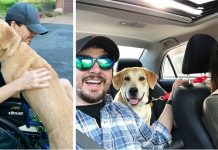 A Skydiving Accident Led This Couple To Their Perfect Rescue Dog