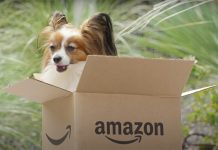 Amazon has a secret “pet warehouse” part the place you don’t pay full worth for objects