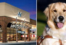 Blind Man Sues After Store Refuses His Service Dog Twice