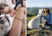 Dog Who Only Knew Abuse Now Has Unconditional Love