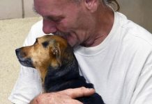 Facing Euthanasia, Local Shelter Offers Dog Dad Hope For His Injured Pup