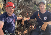 Firefighters Rescue Dog That Stumbled 35 Feet Into Cave