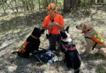 Missing Arizona Hiker Found Dead: Loyal Lab, Ranger, Survives By His Side