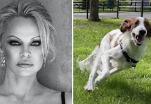 Pamela Anderson Starts Dog Walking Side Gig For Her “Dose Of Dogs”