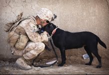 Previous Owner’s Heartbreaking Letter Reveals Adopted Dog’s Secret Before He’s Returned To Shelter