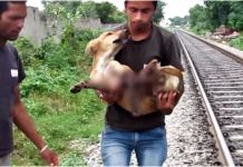 They Were To Show Mercy and End His Life, But ‘Love’ Guided Them Elsewhere