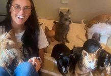 Demi Moore Is Perfectly Content Living The Single Life With 9 Dogs
