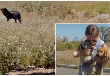 Mom Turned Back To Get 1 Last Look At Her Babies And Wished Them A ‘Happy Life’