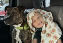 Stray Turned Service Dog Changes Everything For Boy With Rare Disorder