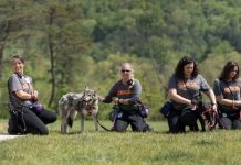 This Rehab Center Offers Dogs Deemed “Unadoptable” A Second Chance