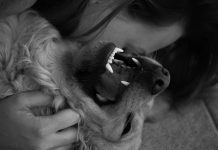 5 Signs You Love Your Dog More Than Your Family Members