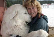 8 Ways Your Dog Says “I Love You”