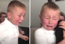 Boy Who Gets Bullied At School Comes Home One Day To A Puppy