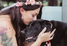 Dying Dog Carried Down The Aisle To Be By His Human On Her Wedding Day