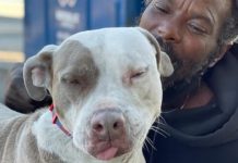 Homeless Man Saves Every Animal In Burning Shelter