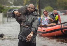 Hurricane Ian Leaves Pets And Their Parents Stranded In Rapidly Rising Flood Waters