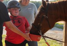 It’s ‘magical’ how horses on this High Point program might help these harm probably the most