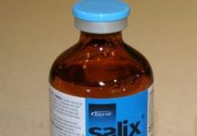 Lasix Mythbusters: Drug Masking, TCO2, And Impact On Racehorse Breakdowns – Horse Racing News