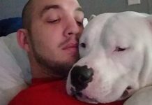 Man Willing to Sell Car and Lose Job to Save His Canine Friend