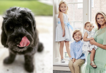 Princess Madeleine of Sweden Adopts Neglected Rescue Dog