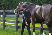 Register for US Equestrian’s DEI Community Conversation, “Horses and the Military: A Long-Standing Partnership”