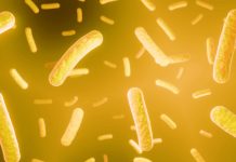 Species-Specific Probiotics are Better for Your Dog