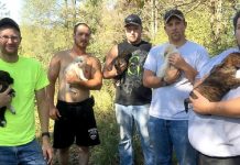 They Sacrificed Their Bachelor Party To Save Sick Puppies They Found In Woods