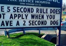 Think Vets Don’t Have A Sense Of Humor? Check Out These 13 Signs