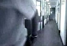 Unsettling Events Kept Occurring In Shelter, So Anxious Staff Set Up A Camera