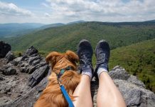 What To Know Before Going Hiking With Your Dog
