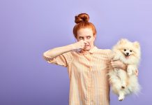 9 Gross Things Your Dog Does That Might Be Caused By Their Food