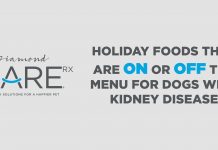 Holiday Food That’s Safe for Dogs with Kidney Disease