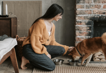 11 Best Raw Dog Food Brands