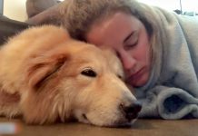 Girl Isolated With Anxiety And Depression Meets Her Spirit Animal