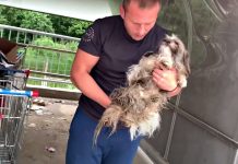 His Family Broke His Spirit But Man Will Do Anything To Build Him Back Up