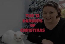 The 12 Dangers of Christmas for Cats (Sung by Dr. Karyn & Clutch)