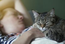 Why Does My Cat Lay on My Stomach? 5 Common Reasons