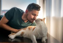 Why Does My Cat Smell Like Maple Syrup? 3 Vet-Reviewed Reasons