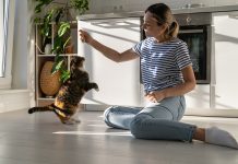 Pittsburgh Refrigerator Cat: The Myth Explained