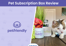 PetFriendly Subscription Box Review 2024: A Detailed Look
