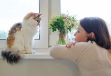 Do Cats Think Humans Are Cute? Feline Thoughts Explained