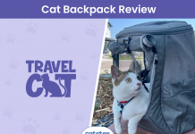 Travel Cat “The Navigator” Convertible Cat Backpack Review 2024: A Detailed Look